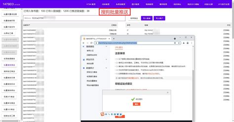 秒收录软件seo 运营